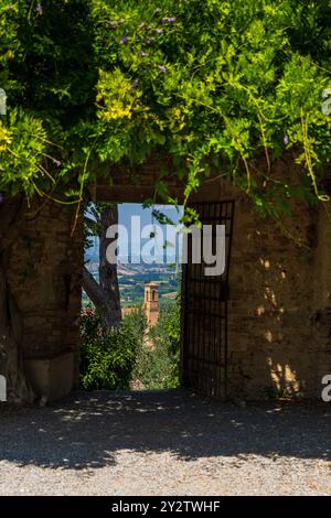 Una vista panoramica attraverso un arco di pietra ricoperto da lussureggianti vigneti verdi, che si affaccia su un paesaggio lontano con una torre. Foto Stock