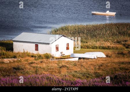 Una tranquilla scena lacustre caratterizzata da una piccola casa bianca con finestre rosse, circondata dal verde e da una barca in acqua. Foto Stock