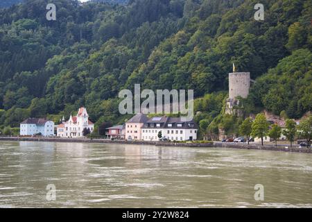 Impressioni di danbue fluviale Foto Stock