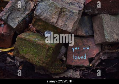 "You Are Loved" scritto su Brick al Doll's Head Trail di Atlanta, Georgia Foto Stock