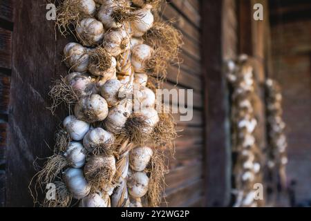 Filamenti di aglio appesi su una rustica parete di legno in una cabina Foto Stock