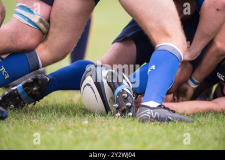 Giocatori amatoriali inglesi di Rugby Union che giocano in una partita di campionato. Foto Stock