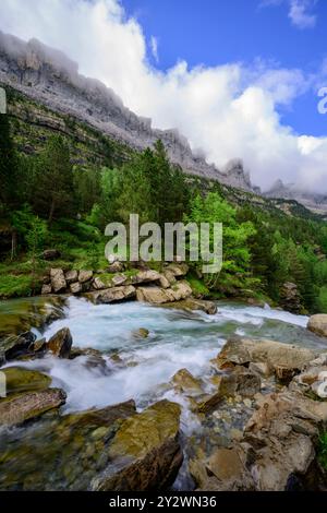 Cascata nel fiume Rio Arazas nel canyon Ordesa Foto Stock