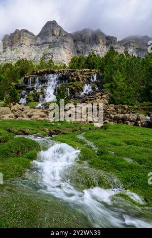 Ruscello di montagna con splendide cascate in primavera nella valle verde erbosa nella parte alta del canyon di Ordesa Foto Stock