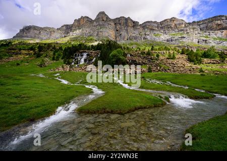 Torrenti di montagna in primavera nella valle verde erbosa nella parte alta del canyon di Ordesa Foto Stock