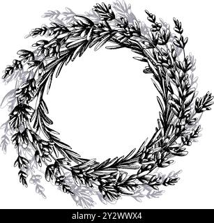 Fiori e foglie di lavanda, ramoscelli in stile provenzale. Illustrazione botanica grafica disegnata a mano con inchiostro bianco e nero. Telaio rotondo, corona Illustrazione Vettoriale
