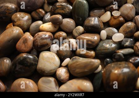 Vista ravvicinata di ciottoli multicolori lucidi con una varietà di texture e motivi. Foto Stock