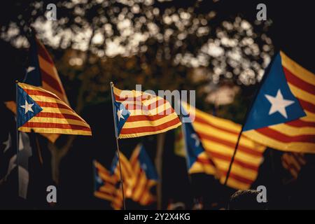 Barcellona, Spagna. 11 settembre 2024. Gli attivisti pro-indipendenza ondeggiano le bandiere come marcia durante l'evento principale organizzato dall'ANC Credit: Matthias Oesterle/Alamy Live News Foto Stock