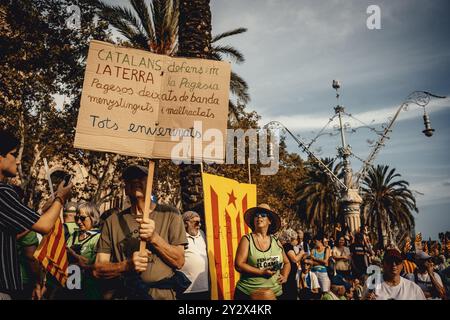 Barcellona, Spagna. 11 settembre 2024. Gli attivisti con i loro cartelli partecipano alla principale manifestazione pro-indipendenza organizzata dall'ANC il "Diada" Credit: Matthias Oesterle/Alamy Live News Foto Stock