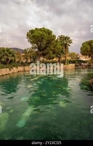 Hierapolis a Pamukkale: Piscina termale o sorgente termale: Una tranquilla piscina di acque turchesi riflette la vegetazione lussureggiante circostante e le antiche rovine, crea Foto Stock