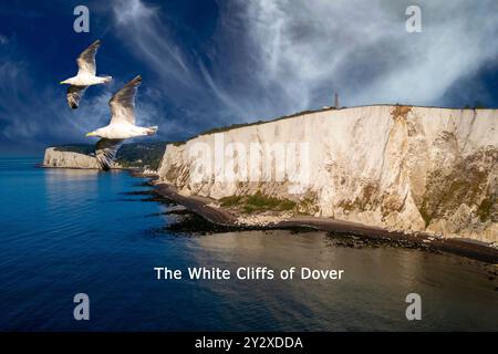 Una vista panoramica delle bianche scogliere di dover con due gabbiani che volano sul mare sotto un cielo spettacolare. Foto Stock