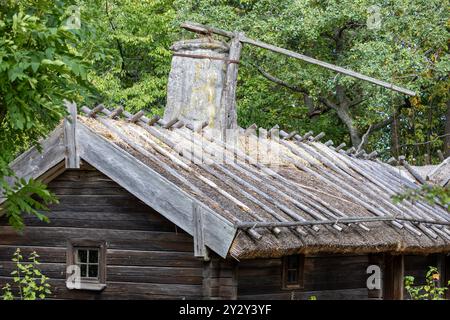 Una cabina rustica in legno con tetto in paglia, caratterizzata da un alto camino in pietra e legno. La cabina è circondata da una vegetazione lussureggiante e presenta un pe Foto Stock