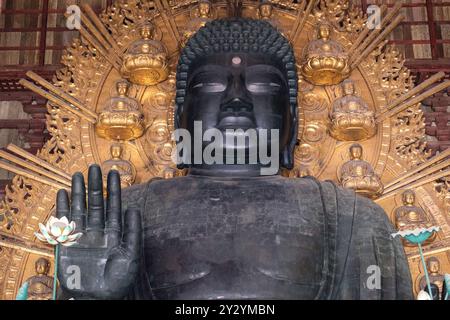 Il grande Buddha è visibile all'interno del tempio Todai-ji a Nara, in Giappone. Foto Stock