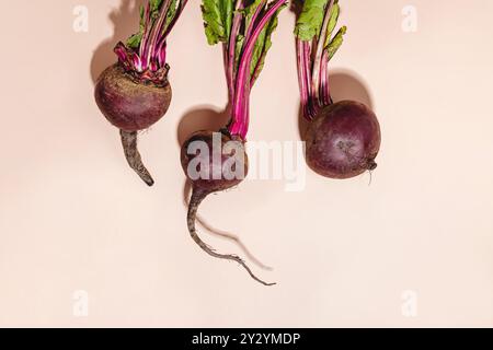 Barbabietole appena raccolte con foglie verdi su sfondo rosa chiaro in condizioni di luce intensa Foto Stock