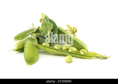 Primo piano di piselli verdi freschi dentro e fuori dai baccelli su sfondo bianco. Perfetto per concetti relativi a freschezza, nutrizione e alimentazione sana. Foto Stock