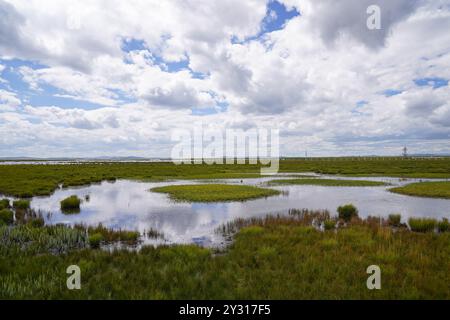 (240912) -- ABA, 12 settembre 2024 (Xinhua) -- questa foto scattata il 5 settembre 2024 mostra una vista del lago Huahu nella riserva naturale nazionale delle paludi di Ruoergai, nella contea di Ruoergai di Aba nella prefettura autonoma tibetana-Qiang, nella provincia del Sichuan della Cina sud-occidentale. La riserva naturale nazionale delle paludi di Ruoergai è istituita per proteggere l'ecosistema delle paludi di torba locali e specie rare come la gru a collo nero. L'ambiente ecologico delle aree protette ha registrato un continuo miglioramento negli ultimi anni, in quanto il governo locale ha attuato misure sostanziali per il ripristino e la gestione ecologici. Foto Stock