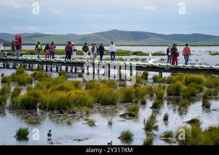 (240912) -- ABA, 12 settembre 2024 (Xinhua) -- i turisti visitano il punto panoramico del lago Huahu nella riserva naturale nazionale delle paludi di Ruoergai, nella contea di Ruoergai di Aba nella prefettura autonoma tibetana-Qiang, nella provincia del Sichuan nella Cina sud-occidentale, 5 settembre 2024. La riserva naturale nazionale delle paludi di Ruoergai è istituita per proteggere l'ecosistema delle paludi di torba locali e specie rare come la gru a collo nero. L'ambiente ecologico delle aree protette ha registrato un continuo miglioramento negli ultimi anni, in quanto il governo locale ha attuato misure sostanziali per il ripristino e la gestione ecologici. Il numero Foto Stock