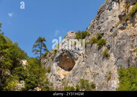 HORMA Canyon, Kure Mountains National Park, Kastamonu, Turchia. Sentiero in legno. Foto Stock