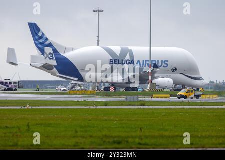 SCHIPHOL - un Airbus BelugaXL in rotta da Saint-Nazaire in rotta per Amburgo ha dovuto effettuare un atterraggio di emergenza inaspettato all'aeroporto di Schiphol. L'aeromobile ha emesso il codice 7700 durante il volo, indicando una situazione di emergenza, secondo l'aviazione. ANP / Holland Height / VLN News paesi bassi Out - belgio Out Foto Stock