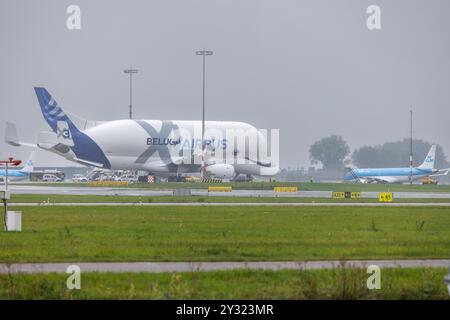 SCHIPHOL - un Airbus BelugaXL in rotta da Saint-Nazaire in rotta per Amburgo ha dovuto effettuare un atterraggio di emergenza inaspettato all'aeroporto di Schiphol. L'aeromobile ha emesso il codice 7700 durante il volo, indicando una situazione di emergenza, secondo l'aviazione. ANP / Holland Height / VLN News paesi bassi Out - belgio Out Foto Stock