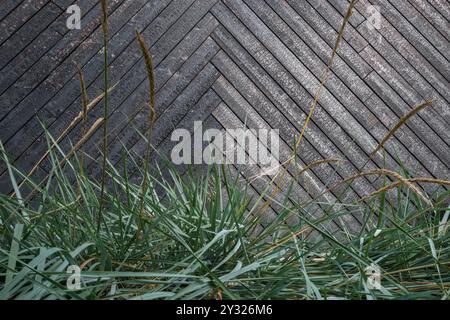 Tavole di legno bruciato . Sho Sugi Ban Yakisugi è un metodo tradizionale giapponese di conservazione del legno Foto Stock