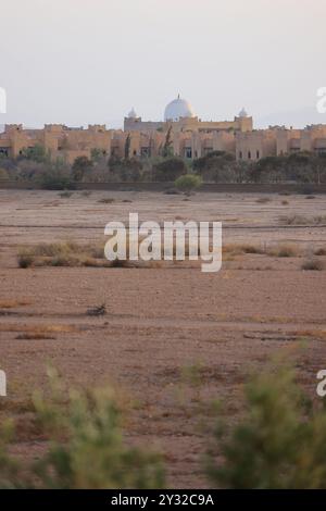 Olivi nella regione di Marrakech in Marocco. Marrakech, regione Marrakech-Safi, Marocco, Nord Africa. Credito: Foto di Hugo Martin/Alamy. Foto Stock