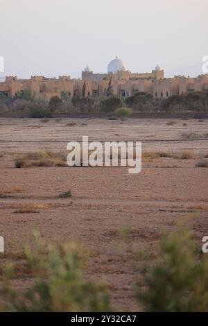 Olivi nella regione di Marrakech in Marocco. Marrakech, regione Marrakech-Safi, Marocco, Nord Africa. Credito: Foto di Hugo Martin/Alamy. Foto Stock