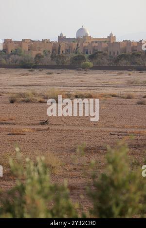 Olivi nella regione di Marrakech in Marocco. Marrakech, regione Marrakech-Safi, Marocco, Nord Africa. Credito: Foto di Hugo Martin/Alamy. Foto Stock