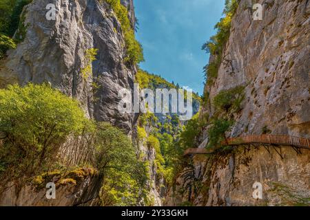 HORMA Canyon, Kure Mountains National Park, Kastamonu, Turchia. Sentiero in legno. Foto Stock