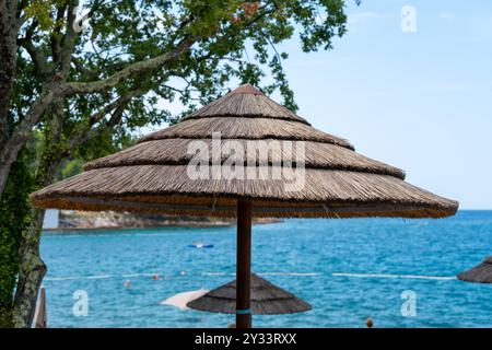 Parenzo, Istria, Croazia - 27 agosto 2024: Un ombrellone di paglia sulla spiaggia di Parenzo *** Ein Sonnenschirm aus Stroh am Strand von Porec Foto Stock