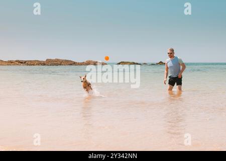 Uomo adulto che gioca con il suo cane frullatore su una spiaggia soleggiata in mare, divertimento gioioso ed energico in una giornata estiva sull'oceano, legame tra animali e ow Foto Stock