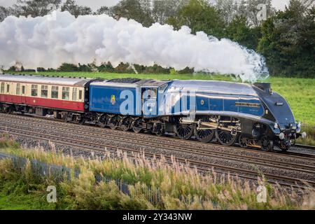 Locomotiva a vapore A4 Pacific restaurata dall'Heritage Sir Nigel Gresley che trasporta il Settle & Carlisle Fellsman visto dirigendosi a nord da Crewe a Carlisle. Foto Stock