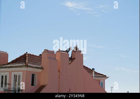 Due operai sono appollaiati su un tetto color salmone, tendenti alla superficie piastrellata sotto un cielo luminoso e striato di nuvole Foto Stock