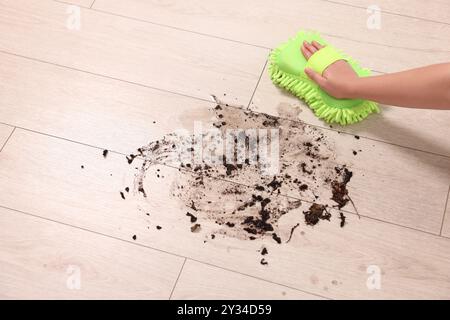 Donna che pulisce lo sporco su pavimento di legno, primo piano Foto Stock