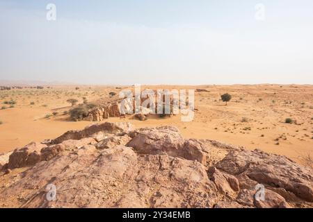 Vista panoramica del deserto di Sharjah, Emirati Arabi Uniti, con vaste dune e formazioni rocciose, evidenziando l'aspra bellezza del terreno arido degli Emirati Foto Stock