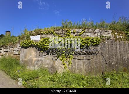 Schlossgut Hohenbeilstein, vinoteca, viticoltura, lettering, castello di Hohenbeilstein, Beilstein, distretto di Heilbronn, Baden-Wuerttemberg, Germania, Euro Foto Stock