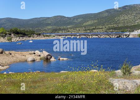 Un pittoresco lago con un ponte sullo sfondo, circondato da verdi colline e fiori gialli in primo piano, il bacino idrico di Burguillo, il ponte di Gaznata Foto Stock