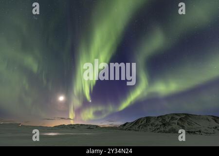 Aurora boreale verde, aurora boreale su montagne innevate, vulcanica, inverno, luna, Laugarvatn, Islanda, Europa Foto Stock