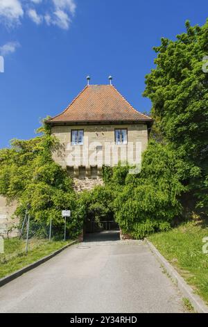 Castello di Hohenbeilstein, castello in cima alla collina, Beilstein, distretto di Heilbronn, Baden-Wuerttemberg, Germania, Europa Foto Stock