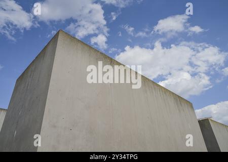 Memoriale dell'Olocausto, campo di Stelae, Mitte, Berlino, Germania, Europa Foto Stock