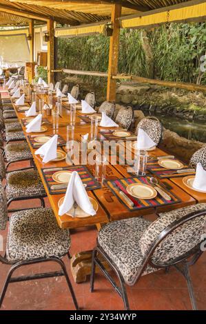 Tavolo su una terrazza color giungla in un ambiente tropicale in un ristorante a Nairobi, Kenya, Africa Foto Stock