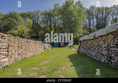 Due pile di tronchi impilati per l'essiccazione in un prato del Belgio, un mucchio di tronchi Foto Stock