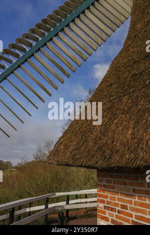 Primo piano di un'ala di un mulino a vento con tetto in paglia, cielo blu e natura circostante, burlage, frisia orientale, germania Foto Stock