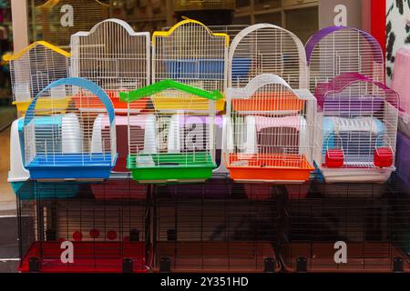 gabbie colorate per uccelli e pappagalli nel negozio di animali domestici Foto Stock