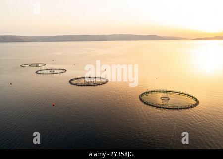 Gabbie per l'allevamento di pesci nell'allevamento croato sul tramonto. Le gabbie a rete tonda evidenziano le tecniche di acquacoltura avanzate della Croazia in mare aperto Foto Stock