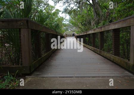 Ampia visuale delle linee principali di un sentiero in legno naturale sul lato sinistro con corrimano. Alberi verdi su entrambi i lati del sentiero. Sole e ombra brillanti. Foto Stock