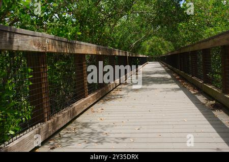 Ampia visuale delle linee principali di un sentiero in legno naturale sul lato sinistro con corrimano. Alberi verdi su entrambi i lati del sentiero. Sole e ombra brillanti. Foto Stock