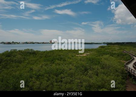 Ampia vista dalla torre di osservazione delle linee principali di un sentiero naturalistico in legno a zig zag sulla destra che conduce a Green Trees. Sole luminoso con cielo blu e. Foto Stock