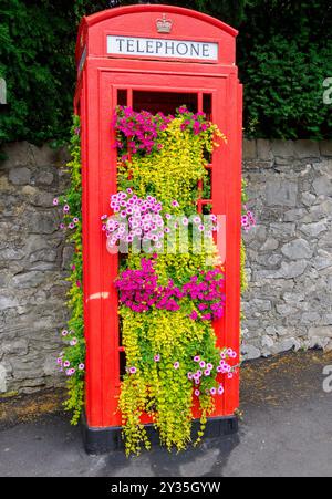 K6 telefono box a Sneyd Park Bristol Regno Unito a Natale disusato come servizio telefonico ma conservato dalla comunità locale come piantatrice stagionale Foto Stock