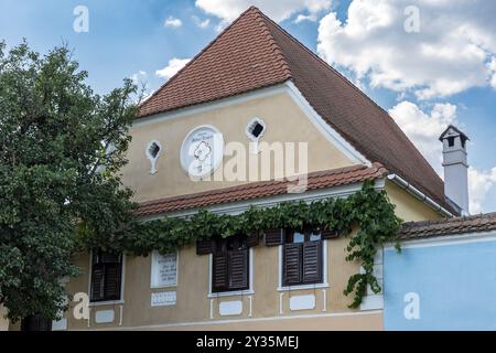 Edifici storici sassoni, Viscri, Romania Foto Stock